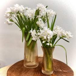 Think Spring