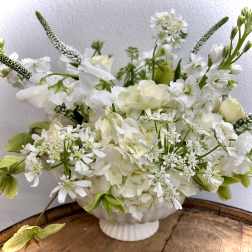 Sonata Blanca