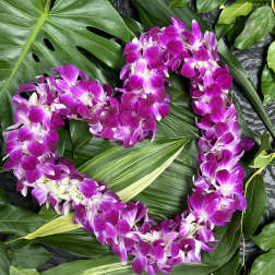 Purple orchid lei on a bed of tropical leaves