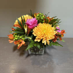 A Little Pop of Sunshine