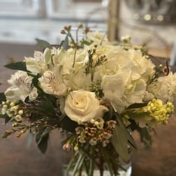 Blooms Pretty
