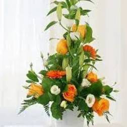 St Patricks Flowers of Ireland