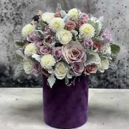 Purple Dreams