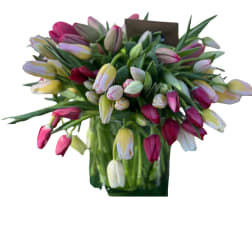 All seasonal blooms