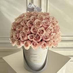 MFS 50 Rose Box (Mondial Pink)
