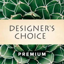 Designer's Choice Premium text over green succulent leaves