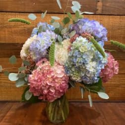Pastel Hydrangeas