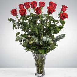 One Dozen Long Stemmed Red Roses