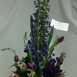 Lovely Purples