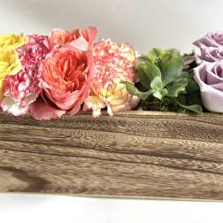 Painted Garden Row by Barb’s Flowers
