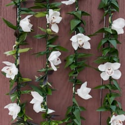 Cymbidium orchids + Ti leaves lei made by Kealoha Lei