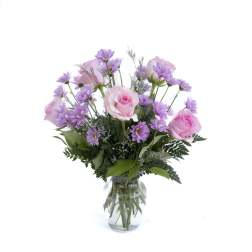 Blushing Blooms