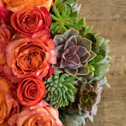 Bouquet of orange roses and mixed succulents on a wood surface