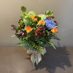 Pride Collection - Spunky Spring
