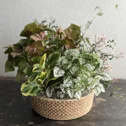 Mother's Day Arrangement #1