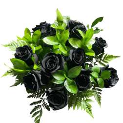 1 Dozen Black Roses