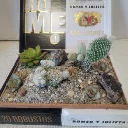 Romeo Cigar Box