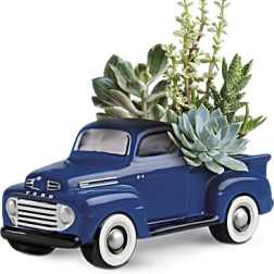Blue pickup truck planter filled with succulents
