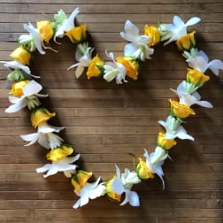 orchid, spray rose, tuberose lei