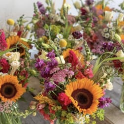 wild garden designer choice