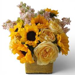 Citrus Peach Beauty Designer's Choice