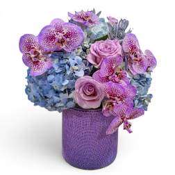 Best Seller - Enchanted Violet Orchid & Rose Bouquet | Same Day Delivery Haddon Township & Haddonfield