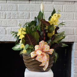Tropical plant arrangement in a brown ceramic pot with a patterned bow