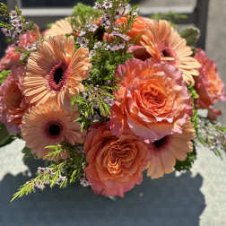 Bouquet of peach gerbera daisies and coral roses