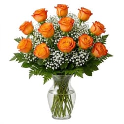 Dozen Stemmed Roses - Orange