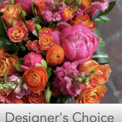 Designer's Choice BOLD + BEAUTIFUL CORAL