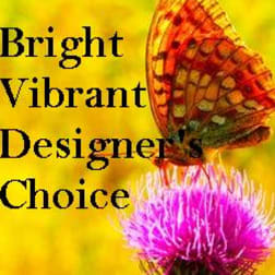 Butterfly over a bright yellow background with the words Bright Vibrant Designer's Choice.