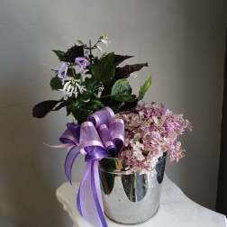 Pink lady + Mona lavender PL11