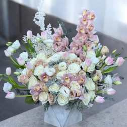 Pastel Perfection