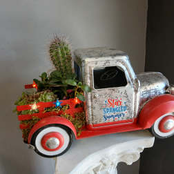 Star spangled summer succulent mix PL13