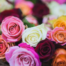 Exclusive in June ! ONE DOZEN Mixed Color ROSES in a vase