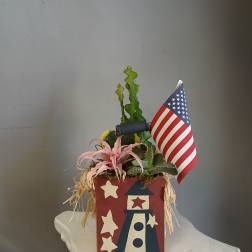PL 27 Succulent Mix 4th