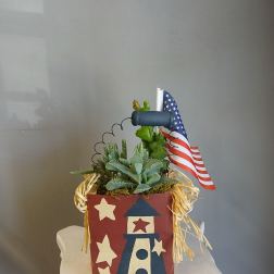 PL 28 Succulent Mix 4th