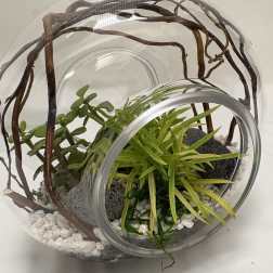 Infinity Terrarium