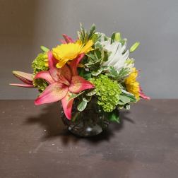 Punch of Color