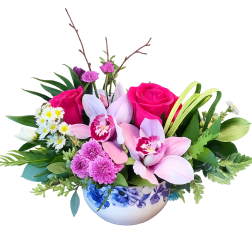 Blushing Orchid Elegance