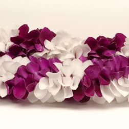 Fancy Leis