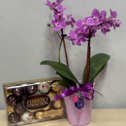 Pickelball Orchid & Chocolates
