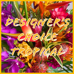 Tropical Arrangement
