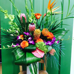 Winter Tropics
