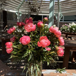 Pink peonies arranged in a clear glass vase