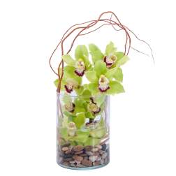 Green orchids arranged in a clear glass cylinder with decorative branches and pebbles