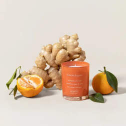 Ginger Squeez Soy Wax Candle Set