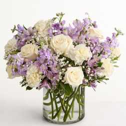 Lovely Lavender