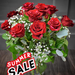 Red Panther Roses- Summer Sale!