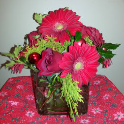 Red Delight